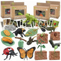 Color: Light Yellow - Montessori Life Cycle Animal Figures With Flash Cards Educational Matching Game Creative Biology Model Learning Teaching Aids