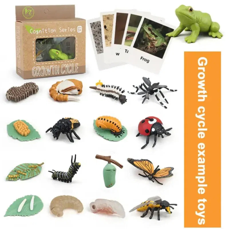 Color: Light Yellow - Montessori Life Cycle Animal Figures With Flash Cards Educational Matching Game Creative Biology Model Learning Teaching Aids